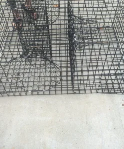 Lobster Port Trap Company Commercial Fish Trap