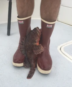 Tingley Rubber FISHING AND OUTDOOR APPAREL Tingley Pylon 12.5