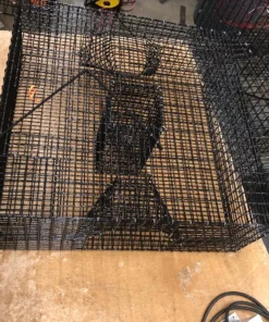 Lobster Port Trap Company 24X24X8.5 Oregon Commercial Coonstripe Shrimp Trap COMMERCIAL FISHING