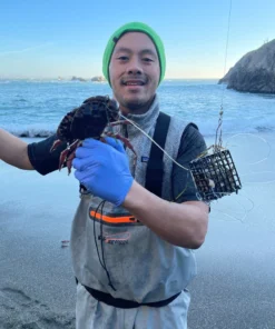 Lobster Port Trap Company Lobster Port Commercial Grade Wire Crab Snare