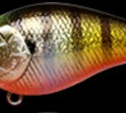 Lucky Craft LC 1.5 Square Bill Crank Bait