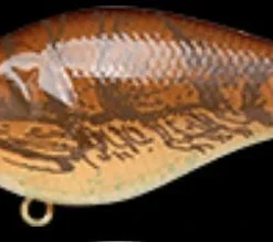 Lucky Craft LC 1.5 Square Bill Crank Bait