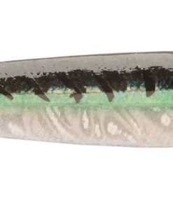 P-Line Laser Minnow FISHING TACKLE