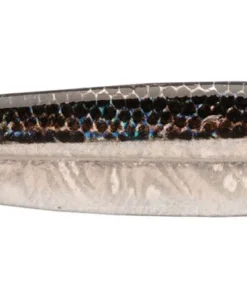 P-Line Laser Minnow FISHING TACKLE