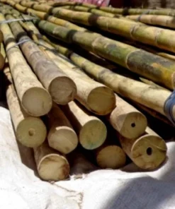 Lobster Port Trap Company COMMERCIAL FISHING Calcutta Bamboo Gaff Blanks