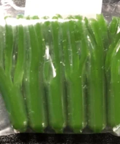 Kid Baits 1.5 Inch Tube Baits