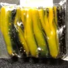 Kid Baits 1.5 Inch Tube Baits 1 Kid Baits 1.5 Inch Tube Baits