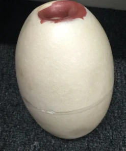 Bao Long COMMERCIAL FISHING Commercial Gill Net Buoy