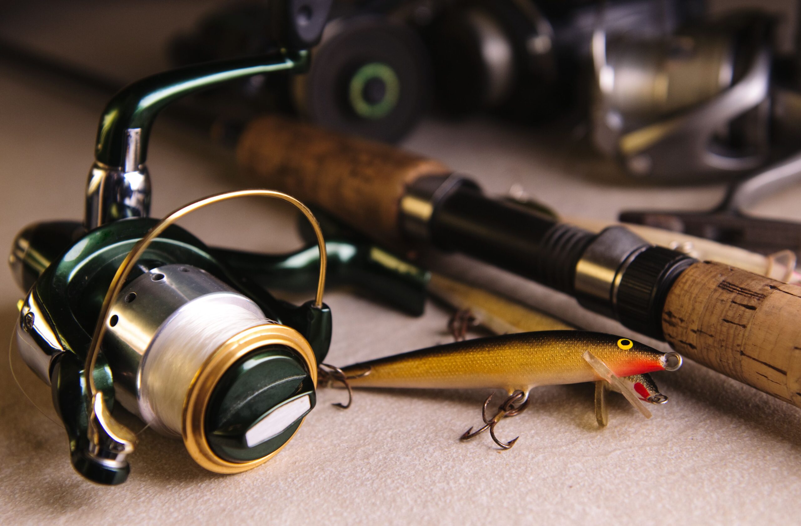 LP Fishing Shop -LP Fishing Shop close up of different fishing tackle royalty free image 1682528963 min scaled